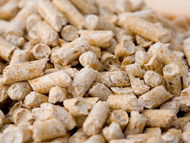 Qu'est-ce que la granulation de la sciure de bois ?
