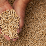 Ferotec: experts in wood pelletizing