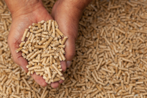 Read more about the article Ferotec: experts in wood pelletizing